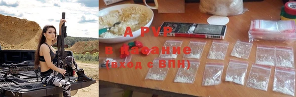 гашик Бородино
