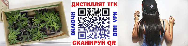 ТГК гашишное масло  Вольск 